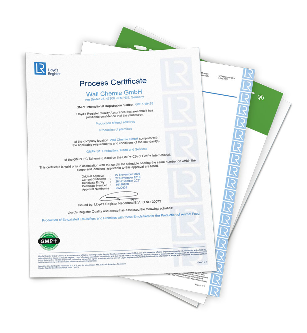 mockup-zertifikate-01